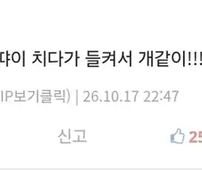 안 흔한 디시의 한국어지만 한국어가 아닌 댓글류
