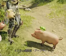 위험한 돼지 이름.jpg