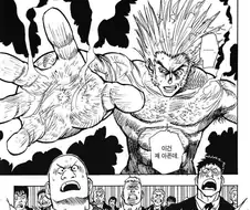 헌터x헌터) 우보긴은 곤 주먹 막겠지?