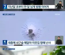 스트레스 풀려고 새총으로 쇠구슬 난사한 60대