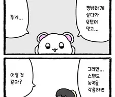 귀여운 솜뭉치 4컷 만화.jpg