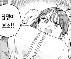 묘쌤 ㅈ탱이 보소 짤의 진실