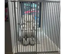 큰 맘먹고 안마의자 산 사람