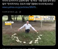 일본 공원에 맹독버섯이 대량으로 발생했다는 기사.twit
