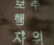 보 행 자 추 위