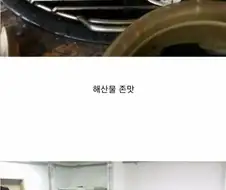 미국 바이크 팀의 한국 관광