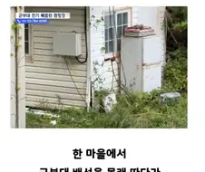 군부대 주변 도둑놈의 쉐키 잡음