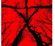 영화 블레어위치 보고 감탄했던 영갤러