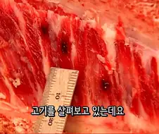 식객 만화, 드라마, 영화에서 제일 임팩트 있던 장면
