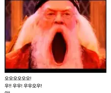 해리포터)이 밈에 제일 화날 사람