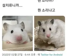 미래엔 햄스터를 다운로드 받을 수 있겠지??.jpg