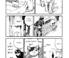 여친이 고양이로 변한 만화.manwha