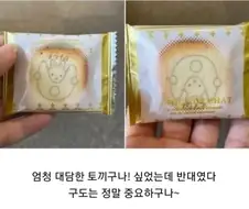 대담한 토끼