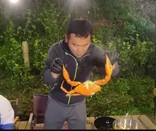 전라도에도 침입하기 시작한 외래종