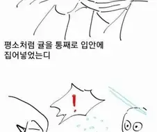 귤로 수치플하는 만화