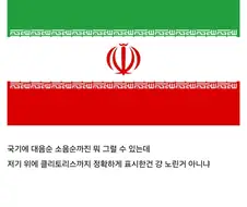 이란은 왜 국기에 보지가 있는거임