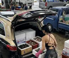 Ai한테 장사 준비하는 자갈치시장 아줌마 그려달랬는데.jpg