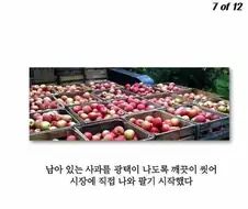 사과농장 하다가 수천억 대부호가 된 노부부