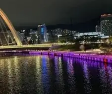 뭐? 부산역 앞에 있는 친수공원 수로에 상어가 나왔다고?