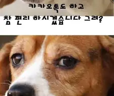 ??? : 스마트폰을 사셨군요.jpg