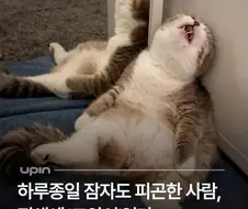 자도자도 피곤한 이유.jpg