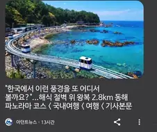 한국에서 보기 힘들어 뉴스까지 탄 풍경.JPG