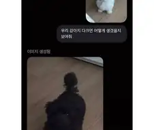 ai야 내강아지가 다크면어찌될지 보여줘