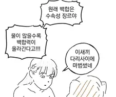 장송의프리렌) 백합은 수속성 장르다 !!
