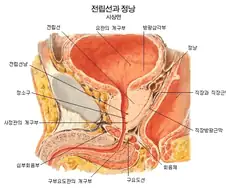 의외로 남자들이 개발하면 좋은 부위.jpg