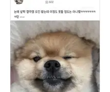 눈을 못 떠서 병원 갔는데 엄살이래.jpg