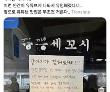 14살 노견 버리고 간 식당 주인
