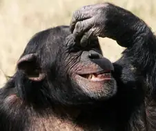 이진칸촌은 봐도봐도 개쩐다