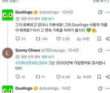 듀오링고!! 울아들이 입원해서 연속학습을 빼먹었어요 ㅠㅠ