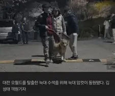 "그냥 산책했음" 댕댕이