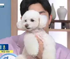 개판이 되어버린 방송국