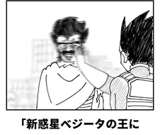드래곤볼)너무 많이 시달렸던 사이어인.jpg