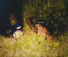 붉은사막)말이 왜 이래.