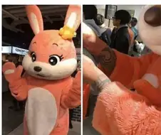외유내강 인형탈 알바.