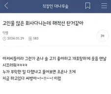 고인물이 많은 회사다니는데 해적선 탄거같아