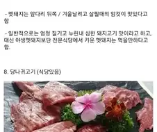 한국에서 먹어 볼 수 있는 고기들