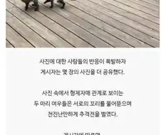 레딧 유저가 올린 새끼 여우 사진.jpg