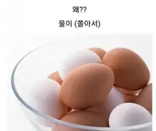 라면과 참기름의 싸움.jpg