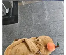 맘에 드는 가방 삼.jpg