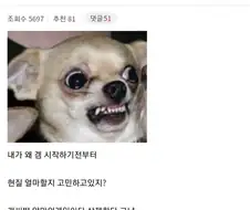 눈을 뜬 디시인