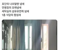 2030남성 70퍼센트가 느낀다는 향수