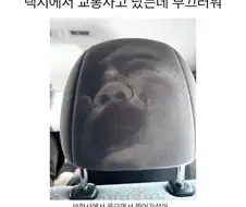 보험사: 이건 정말 중요한 증거입니다ㅋㅋㅋ