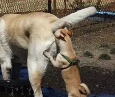 "후훗♡ 뒤를 공략하시려고 하다니 제법이군요"