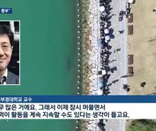 상어가 수로에서 안나가는 이유 전문가 의견