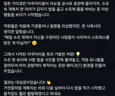 이상행동을 보이던 개복치를 치료한 방법