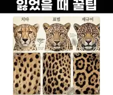 싱글벙글 정글에서 길 잃었을 때 꿀팁